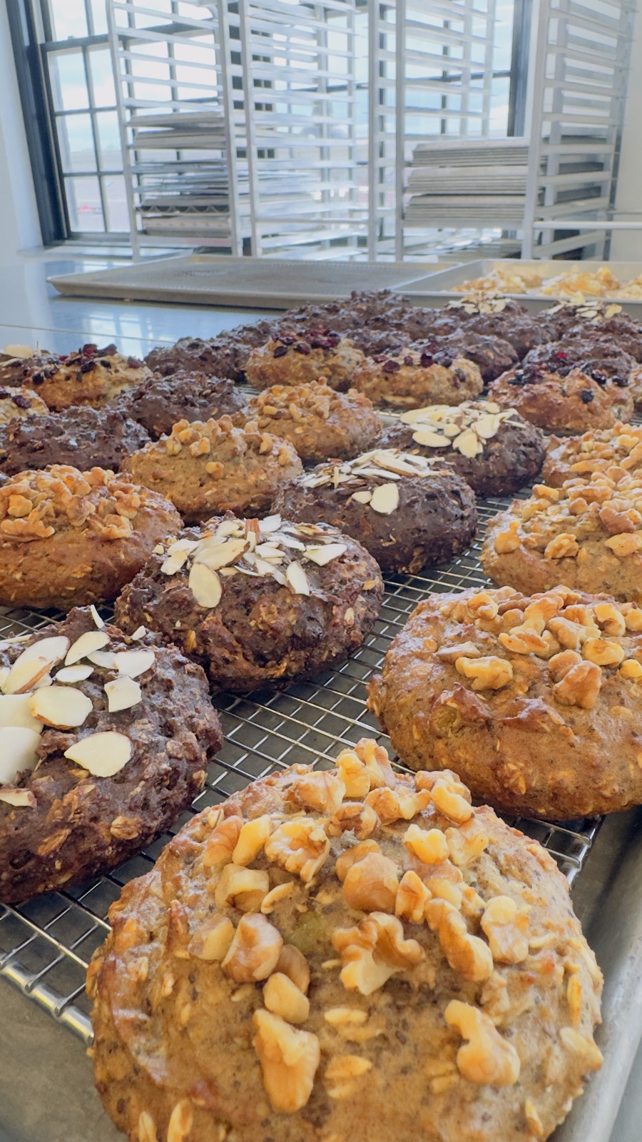 Close view of almond and walnut topped cookies on cooling racks